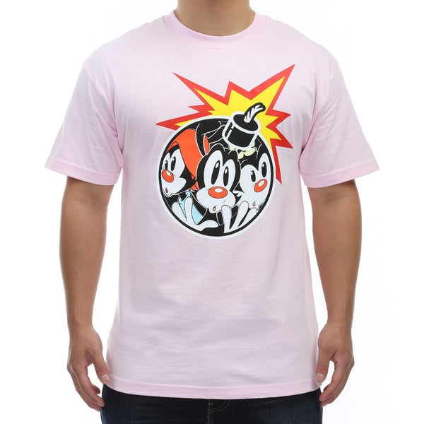 The hundreds deals animaniacs hoodie