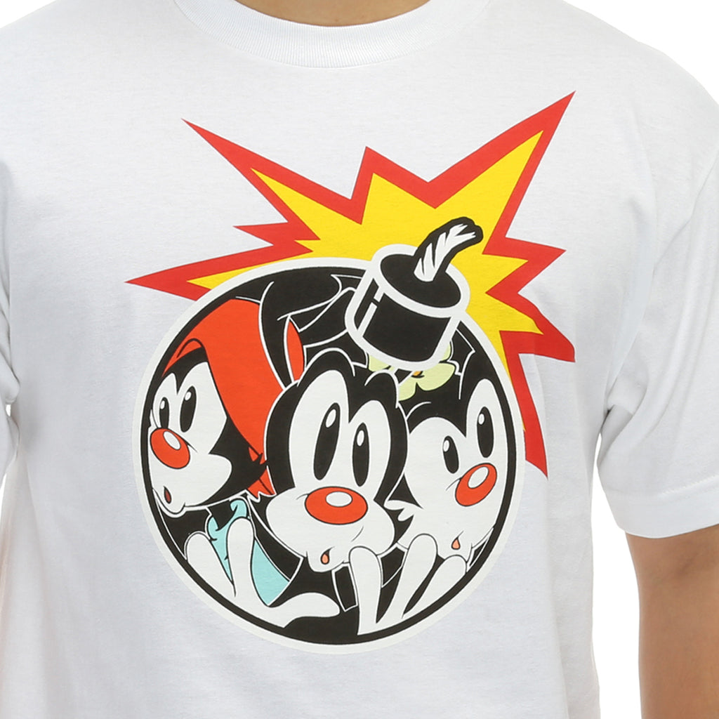 The Hundreds x Animaniacs AniAdam Bomb T-Shirt - White